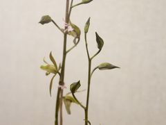 -九江美术馆