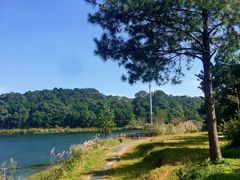 -海南热带雨林国家公园吊罗山景区