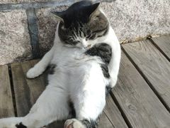-绿岛汤泉韩式休闲会所