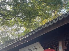 -上海醉白池公园