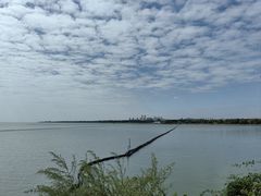 -贡湖湾湿地公园