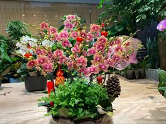-双季花艺园艺市场(浦东店)
