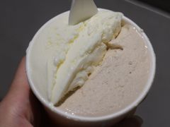 -Dip in Gelato(富民路店)