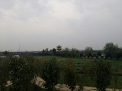 -枫林花海