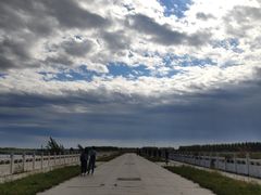 -呼兰河口湿地公园
