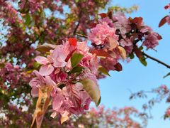 -元大都城垣遗址公园