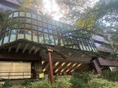 -香港大学
