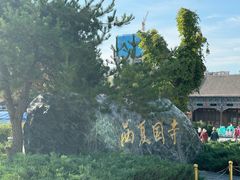 -张掖大佛寺景区