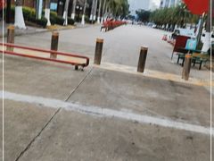 -万绿园