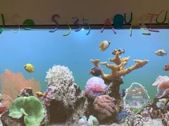 -瑞思英语·少儿英语启蒙(和平·国际商场示范校区)