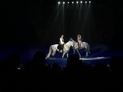 -珠海横琴长隆《卡卡虎奇遇记》