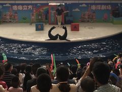 -成都浩海立方海洋公园