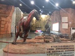 -中国西峡恐龙遗迹园