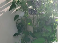 -丽都DELICATESSEN熟食店