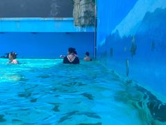 -亚马逊丛林水乐园