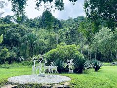 -莫里热带雨林景区