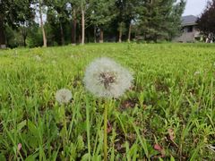 -中家鑫园温泉酒店鑫悦汤泉