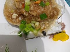 中扇贝-北塘海鲜·天津菜(大光明桥旗舰店)