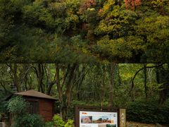 -南京市江宁方山