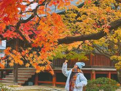 -医王山·飞騨国分寺