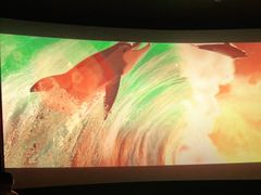 -大光明新国际影城(青浦吾悦店)