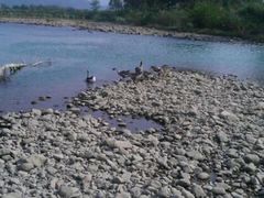 -楠溪江风景名胜区