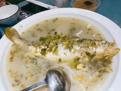 大黄鱼咸菜汤-阿毛饭店(和义路店)