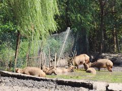 -溱湖国家湿地公园