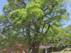 -封龙山风景区