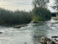 -绿堤公园