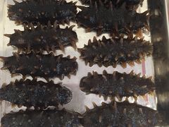 -大连阿艺海参
