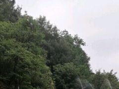 -连云港云龙涧原生态风景区