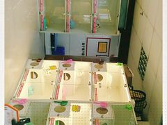 -lincat·猫舍(广州店)