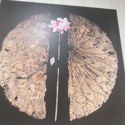 -单色舞蹈