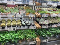 -鹿岛生活(熙地港店)