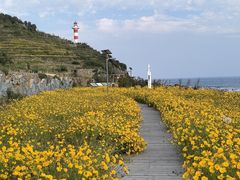 -灵山岛风景区