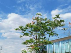 -上海山野camping·户外天幕烧烤·团建拓展营地
