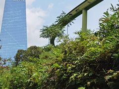 -华侨城湿地公园