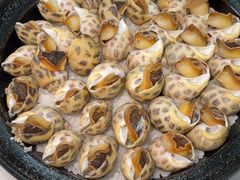 -阳江餐厅·30年老字号·粤菜海鲜大排档