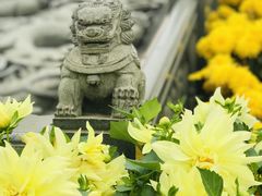 景点-广东圆玄道观