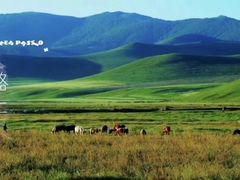 -塞罕坝国家级自然保护区