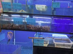 -火龙堂·风味民间菜(文一路店)
