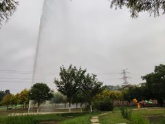 -紫颐香薰山谷景区