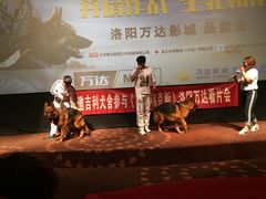 -万达影城(洛阳万达广场IMAX激光店)