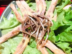 -谭鸭血老火锅(漳州路店)