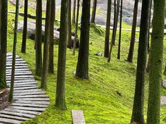 -玉苍山国家森林公园