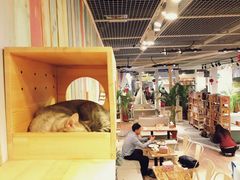 -小时光咖啡馆(开森度假森林店)