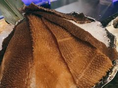 毛肚-王家渡火锅店(棕榈泉店)