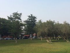 -松山湖南湖湾露营营地