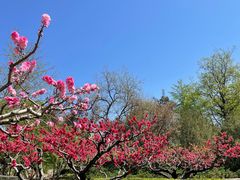 -元大都城垣遗址公园